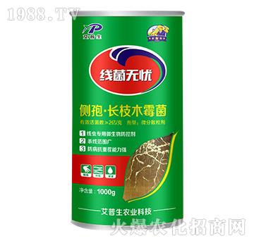 ��(c��)�ߡ��L(zh��ng)֦ľù��-��(xi��n)���o(w��)�n(y��u)-������