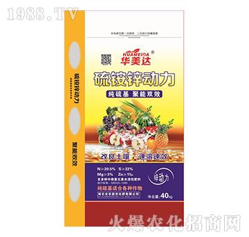 ���@�\��(d��ng)��-�A���_(d��)-ȫ�r(n��ng)�μ�