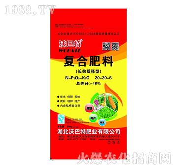 �LЧ����͏�(f��)�Ϸ���20-20-6-�ְ���