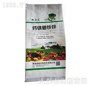 �}�V���F�\-����������