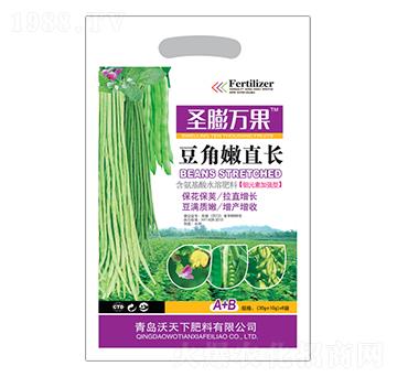 ������ֱ�L-ʥ���f��-������