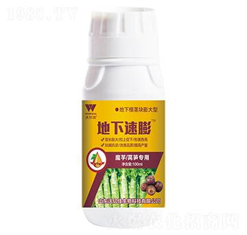 ħ���n�S����-��������-�֠���(y��u)