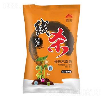 �L(zh��ng)֦ľù��-��(xi��n)��-�֠���(l��)