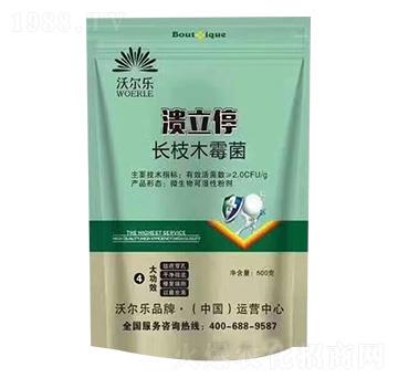 �L(zh��ng)֦ľù��-����ͣ-�֠���(l��)