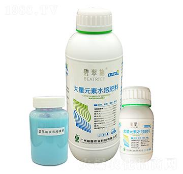 �̴�ʩ����Ԫ����� ����r�I(y��)