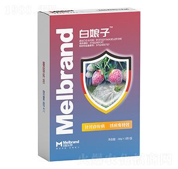 �׷۲����P����Ч ������ ������