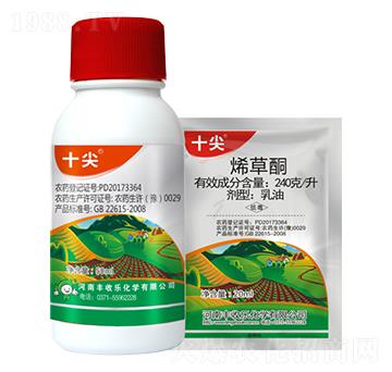 240��ÿ��ϩ��ͪ-ʮ��-�S�՘�(l��)