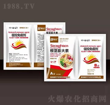 ���o�����+�ٿ����߄�-嫘�(l��)��