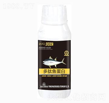 �����~����-�A������