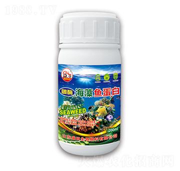 ̼ø�����~����-ʢ������