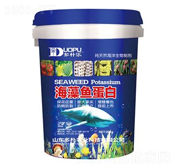 �����~����-�����Ƽ�