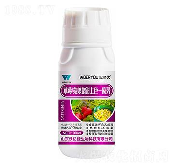 ��ݮ������������ɫһ���`-�֠���(y��u)