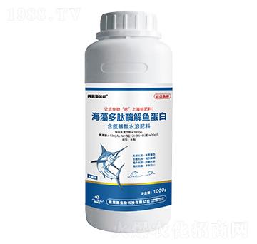 ƿ�b�������ø���~����-�W�R˹���~-�W�R˹