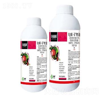 40%�}�����V��������-�s��M(m��n)-���՘�(l��)