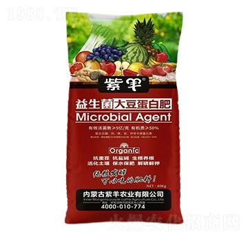 �������󶹵��׷�-���r(n��ng)