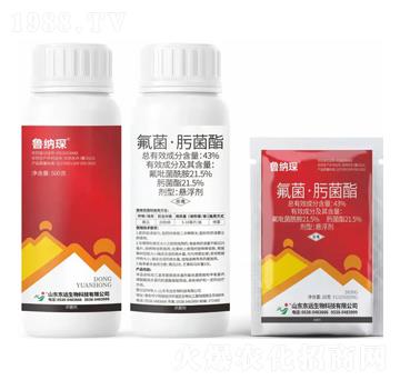 43%�������۾����Ҹ���-���{�-�|�h����