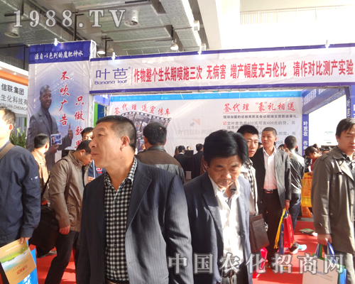 葉芭只做效果，不做吹牛的廣告