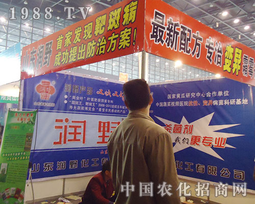 山東潤野：新配方，專治變異霜霉