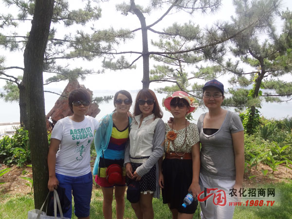 翠綠的赤山林間