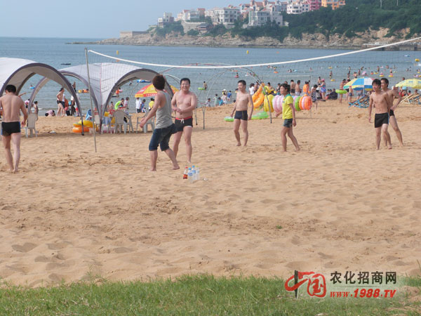 一起玩沙灘排球