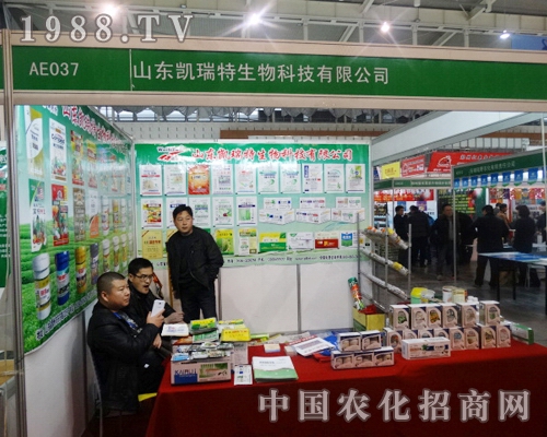 �P������2013�Ͼ�ֲ���p����(hu��)��������