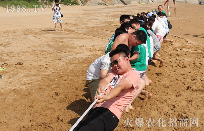 ʢ������ ���c�B�Ƹ��Ђ��s��