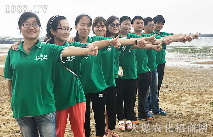 跟隨火爆網(wǎng)一起去看海