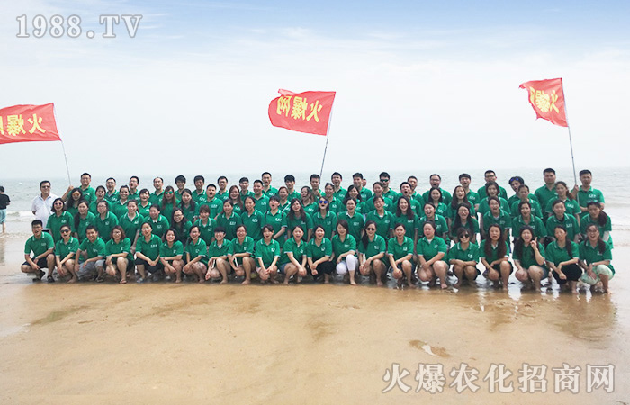 一起感受海邊的美麗