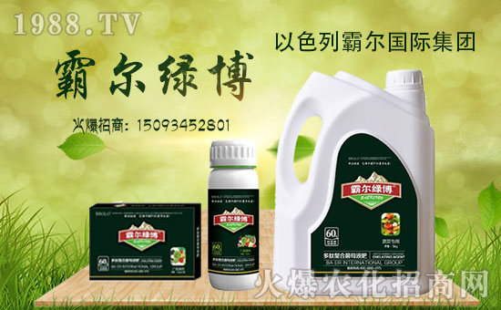 _副本【霸爾國際】送福啦!祝您金雞納福,財源豐茂,萬事吉祥!