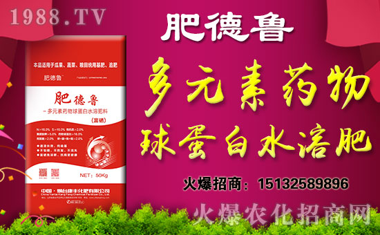 �����_���S���ʡ�ף������w�������H�Қg����