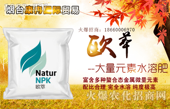 ���_��Ƚ���H�Q(m��o)�����޹�˾5