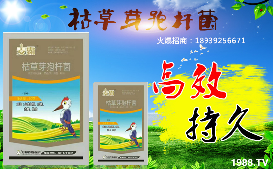 【深圳萬邦作物】給廣大客戶拜年了!祝大家雞年大吉,好運連連!