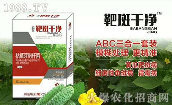 ���K��ӡ��ף���2017�������³ɣ�����������H�Қg��(l��)��