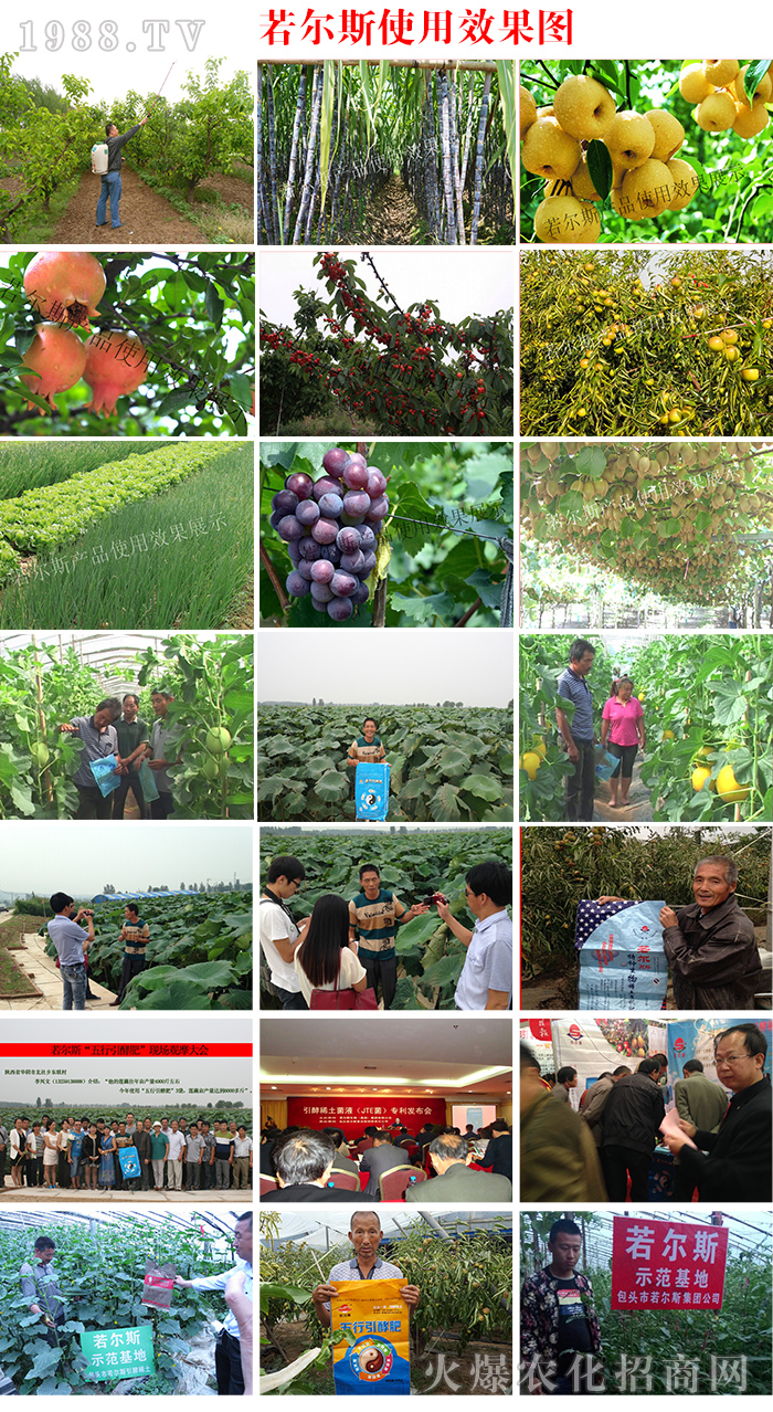 ���^������˹��(f��)�Ϸ�����؟(z��)�ι�˾