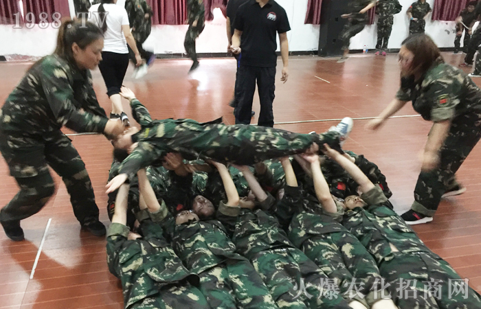 ͻ�ƘO������������