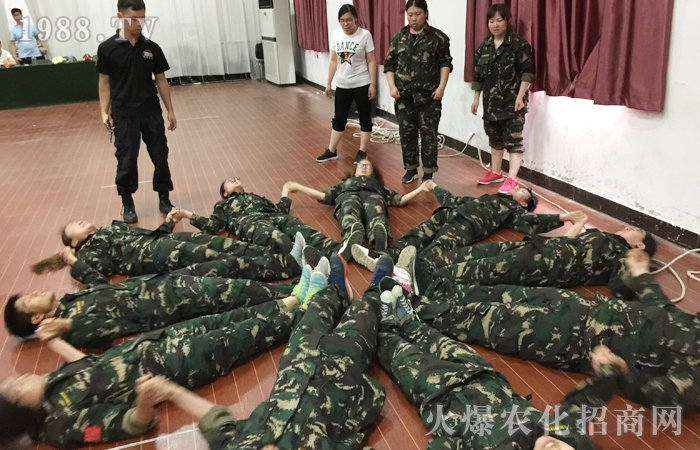 ͻ�ƘO������������