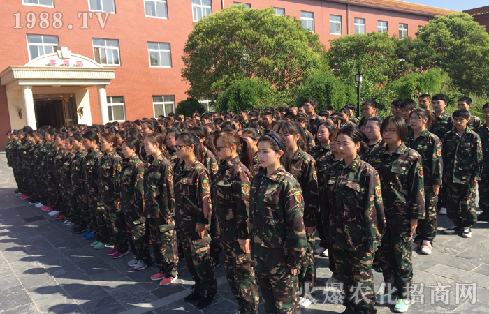 在訓(xùn)練中體悟,在體悟中受益,在受益后帶入工作