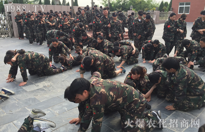 在訓(xùn)練中體悟,在體悟中受益,在受益后帶入工作