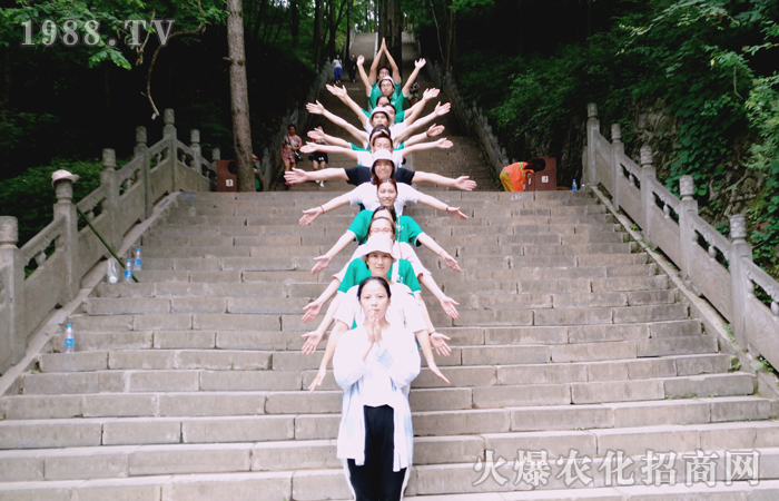 ���ƺ�̤ɽ�n���ΰ��Ƒ��{(l��n)����