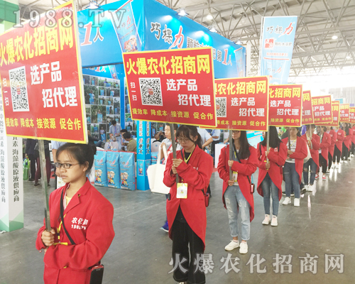 2017�����r�Y���[��