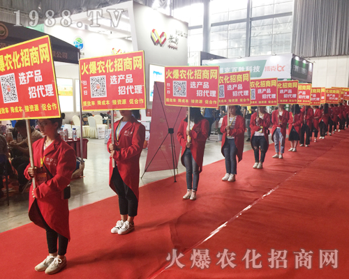 �o̎�����r(n��ng)���W(w��ng)���M�۱M�ǻ𱬼t��