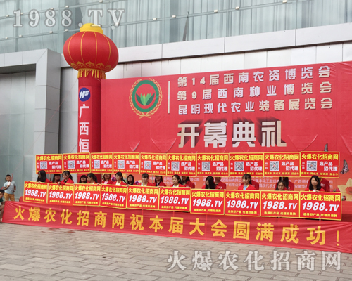 1988.TV�����������2017�����r�Y�����ٴγɞ齹�c��