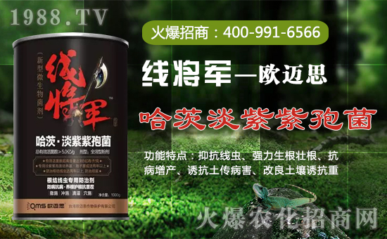 【歐邁思】全體員工恭祝全國(guó)經(jīng)銷(xiāo)商身體健康,狗年吉祥!