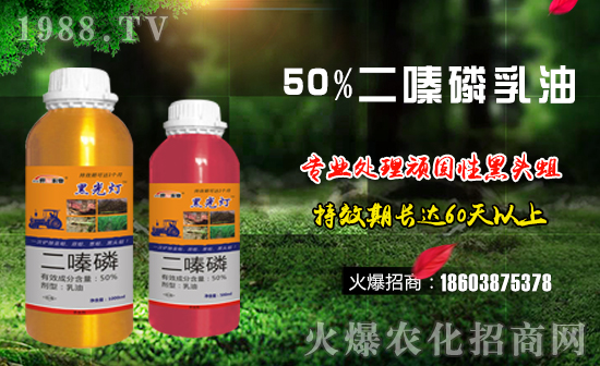 【德國世福】祝大家新的一年里萬事如意,夢想成真!