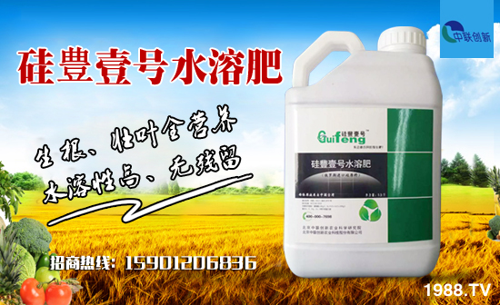 【中聯(lián)創(chuàng)新】祝大家在新的一年里身體健康,闔家歡樂!