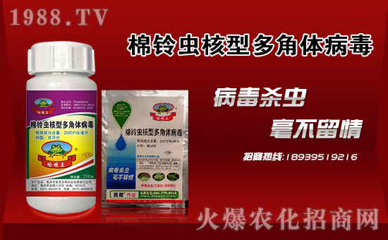 ���¹چ̵ϡ�ף������µ�һ�����f������������󼪣�