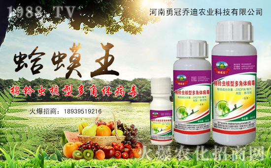 ���¹چ̵ϡ�ף������µ�һ�����f�����⣬�������