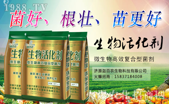 ���Ȱ��r(n��ng)����ף����´��옷(l��)���Ҹ�������