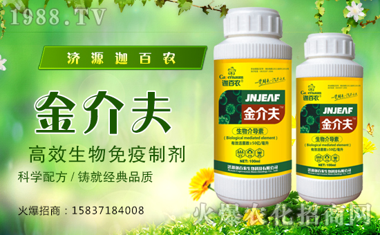 ���Ȱ��r(n��ng)����ף����´��옷(l��)���Ҹ�������