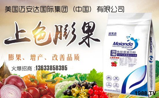 美國邁安達國際集團(中國)有限公司